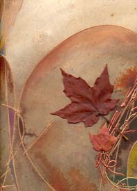 Maple Beauty II - Click for details and purchase